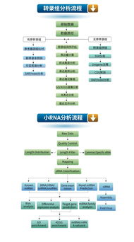 生工生物優質技術服務推薦 高通量測序與轉錄組、小RNA分析